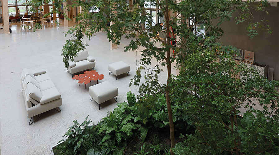 Image_article_946562.jpg